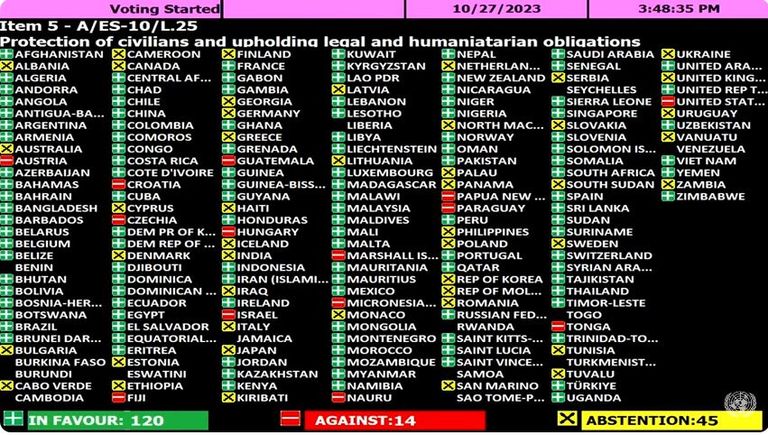 رئيس وفد العراق لدى الأمم المتحدة