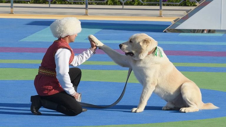 الكلب هيرتز بعد تكريمه - أرشيفية
