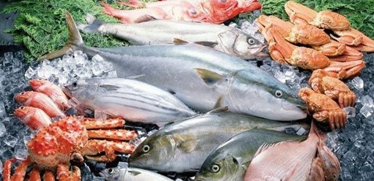 العناصر الغذائية للأسماك مهددة بسبب تغير المناخ