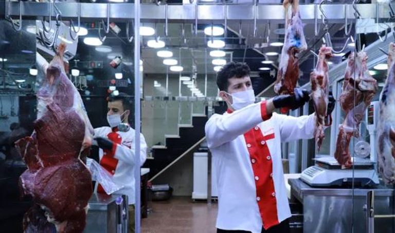 اليوم العالمي للنباتيين - تعبيرية