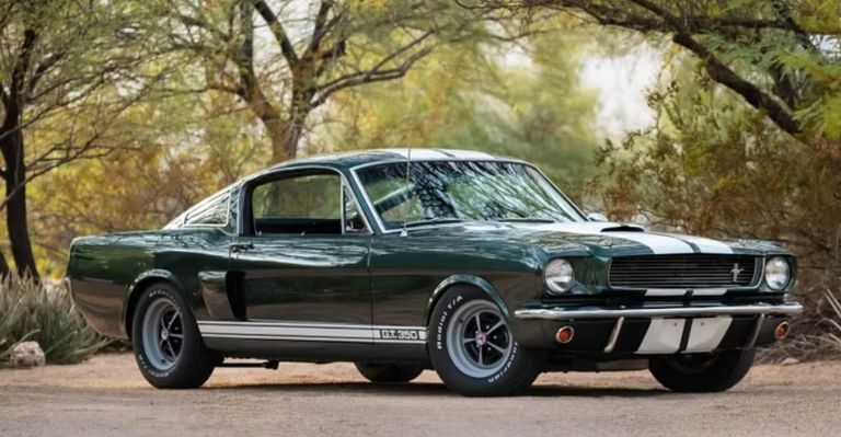 Shelby GT350