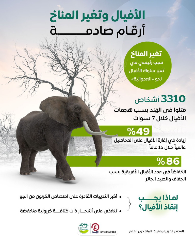 الأفيال وتغير المناخ.. أرقام صادمة تعير المناخ والصيد الجائر للأفيال يهدد بانقراضها