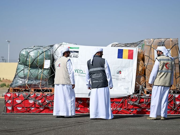 جانب من المساعدات الإماراتية
