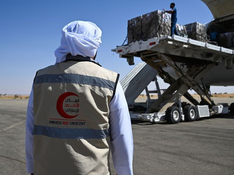جانب من المساعدات الإماراتية