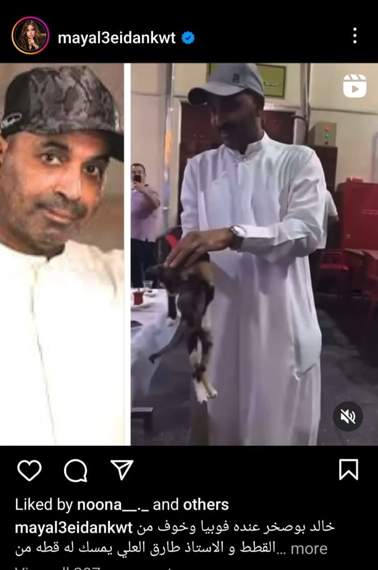 الإعلامية مي العيدان