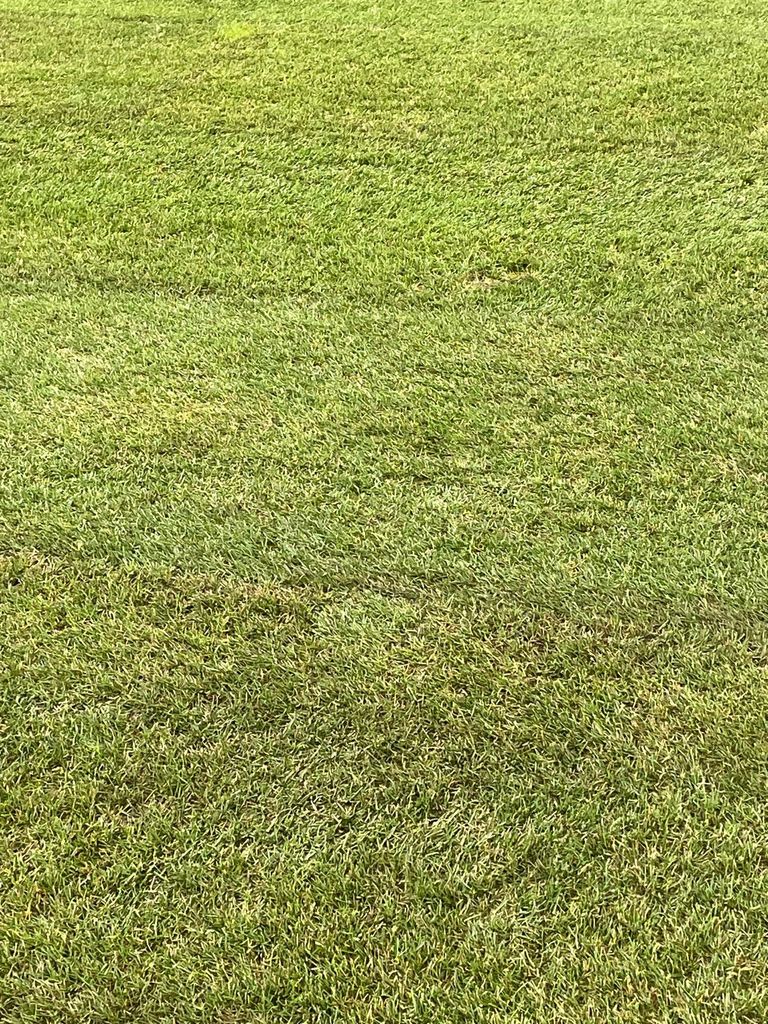 ملعب مباراة شاختار وبرشلونة