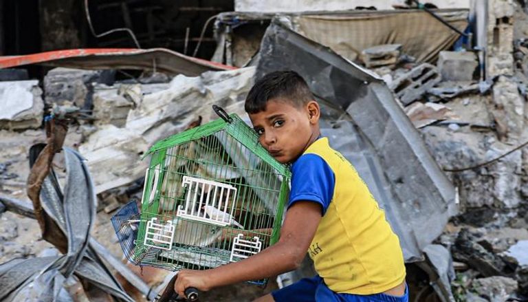 صبي ينقل طائر بقفص في رفح جنوب غزة