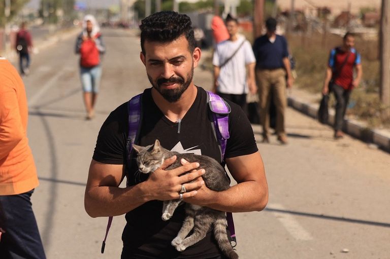 فلسطينيون يلوحون براية بيضاء أثناء فرارهم من غزة سيرا على الأقدام