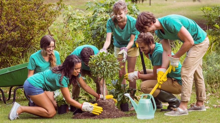 ازرع الأشجار خفض البصمة الكربونية عبر طرق فردية بسيطة