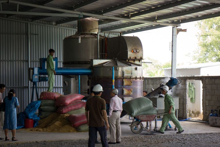 الفحم الحيوي له القدرة على إزالة 6% من الانبعاثات العالمية الكبيرة فوائد بالجملة للفحم الحيوي للزراعة والمناخ