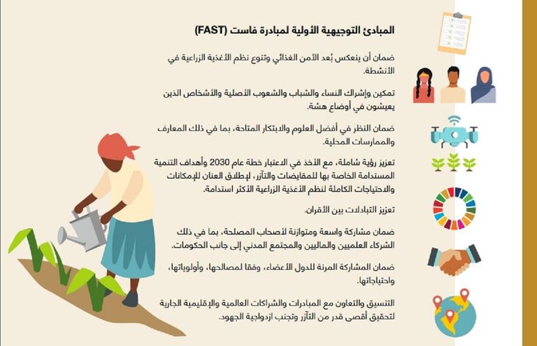 عبدالحكيم الواعر الممثل الإقليمي لإقليم الشرق الأدنى وشمال أفريقيا