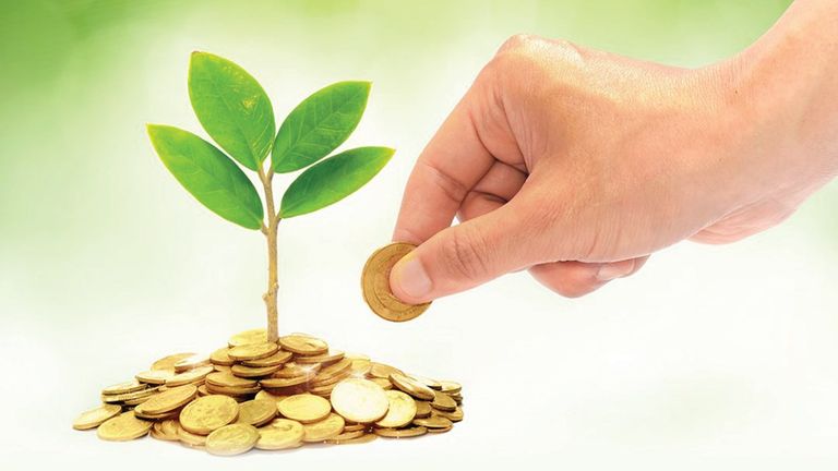 السندات والصكوك الخضراء.. تمويل مستدام يعزز جهود الإمارات لتحقيق الحياد المناخي السندات والصكوك الخضراء.. تمويل مستدام يعزز جهود الإمارات لتحقيق الحياد المناخي