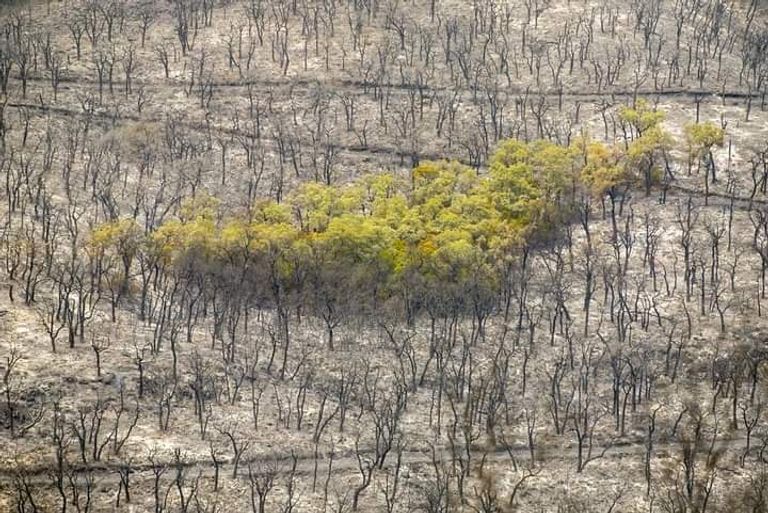 غابات عين دراهم شمال غربي تونس - أرشيفية