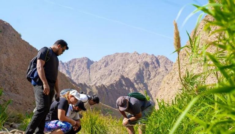 فعالية بوب كوب لتعزيز المشاركة المجتمعية في COP28