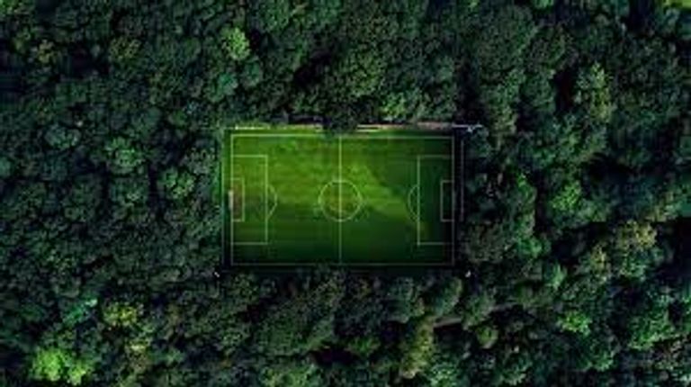 هل تصبح كرة القدم محايدة للكربون هل تصبح كرة القدم محايدة للكربون؟