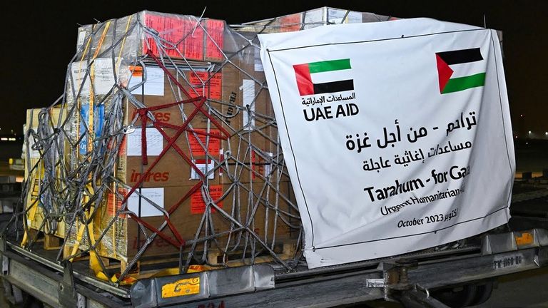 استقبال أطفال غزة في مطار أبوظبي - أرشيفية