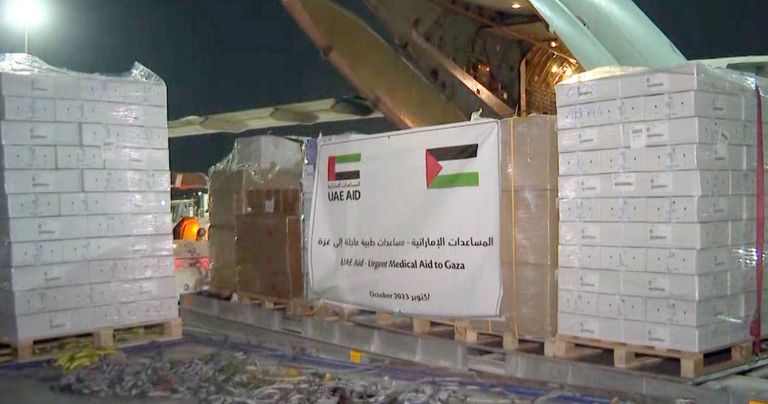 استقبال أطفال غزة في مطار أبوظبي - أرشيفية