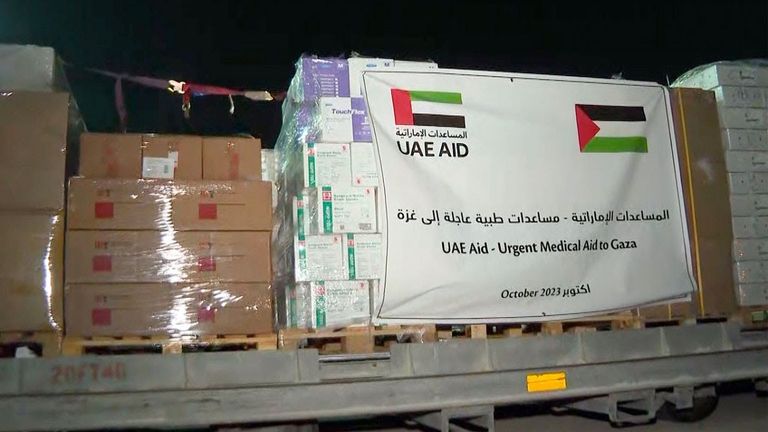 استقبال أطفال غزة في مطار أبوظبي - أرشيفية