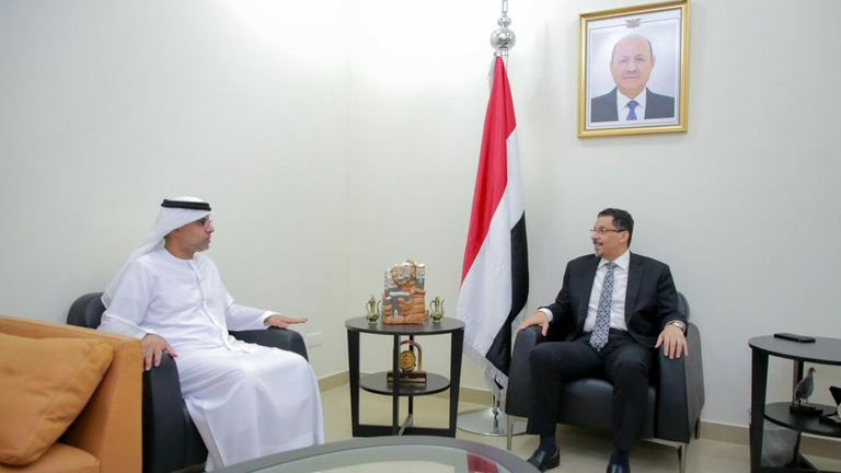 جانب من لقاء رئيس مجلس القيادة الرئاسي والسفير الإماراتي لدى اليمن