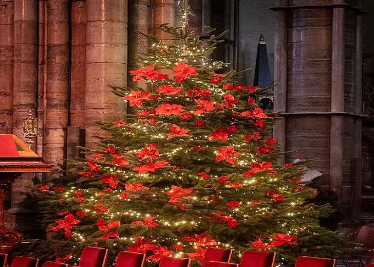 الأمير هاري وزوجته ميغان ماركل