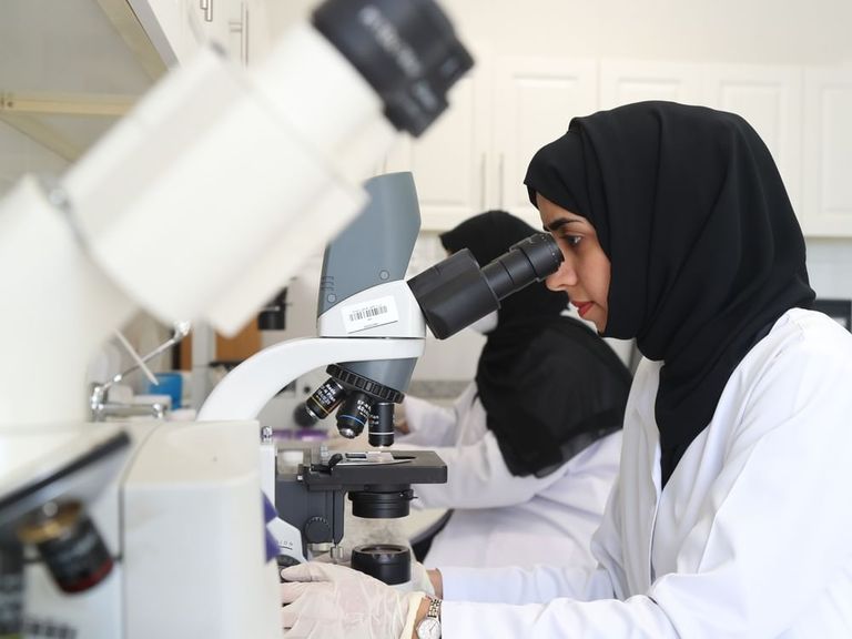 المختبرات البيئية في الإمارات - وام المختبرات البيئية في الإمارات - وام