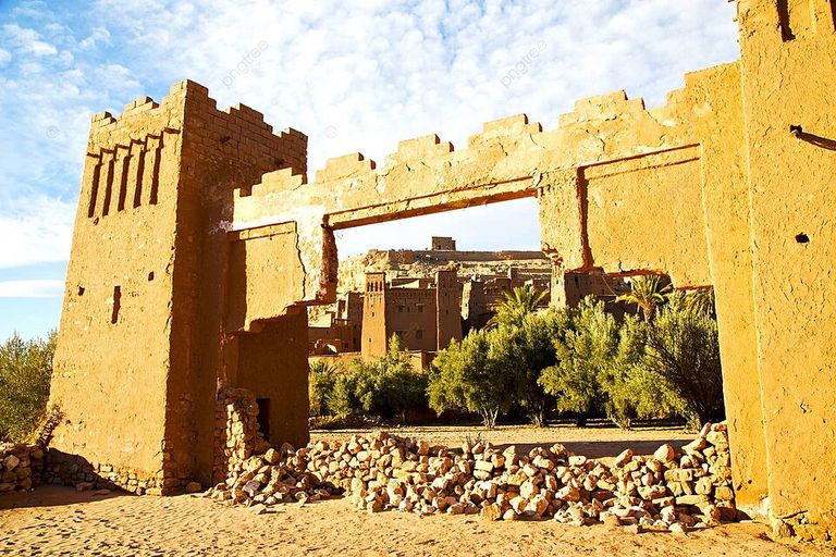 المدينة المنورة أحد أفضل الوجهات لعشاق الثقافة أفضل الوجهات لعشاق الثقافة