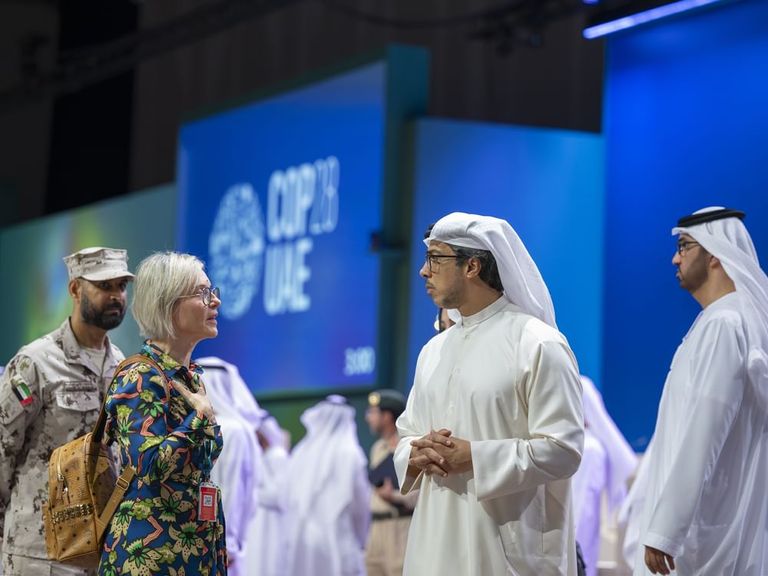 الشيخ منصور بن زايد آل نهيان خلال الجولة التفقدية