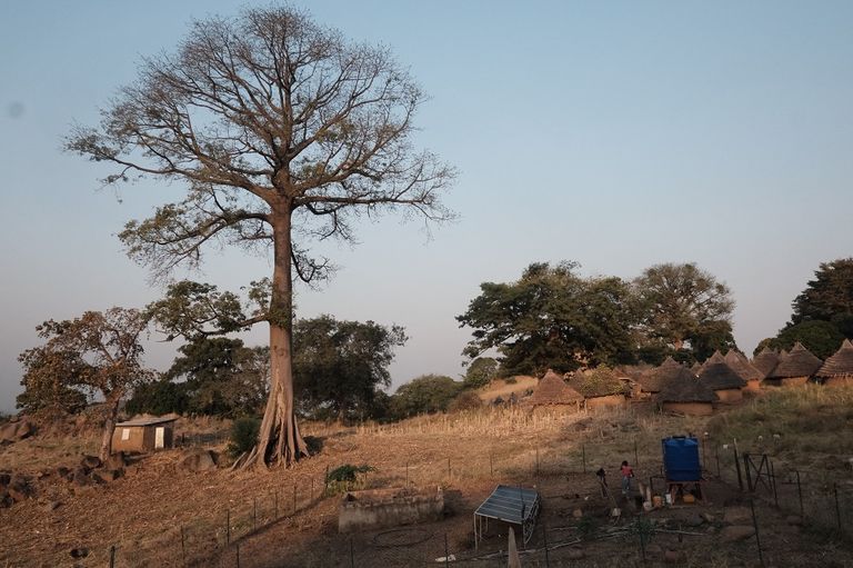 التغير المناخي أكبر تهديد صحي يواجه البشرية- أرشيفية