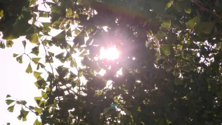 التغير المناخي أكبر تهديد صحي يواجه البشرية- أرشيفية