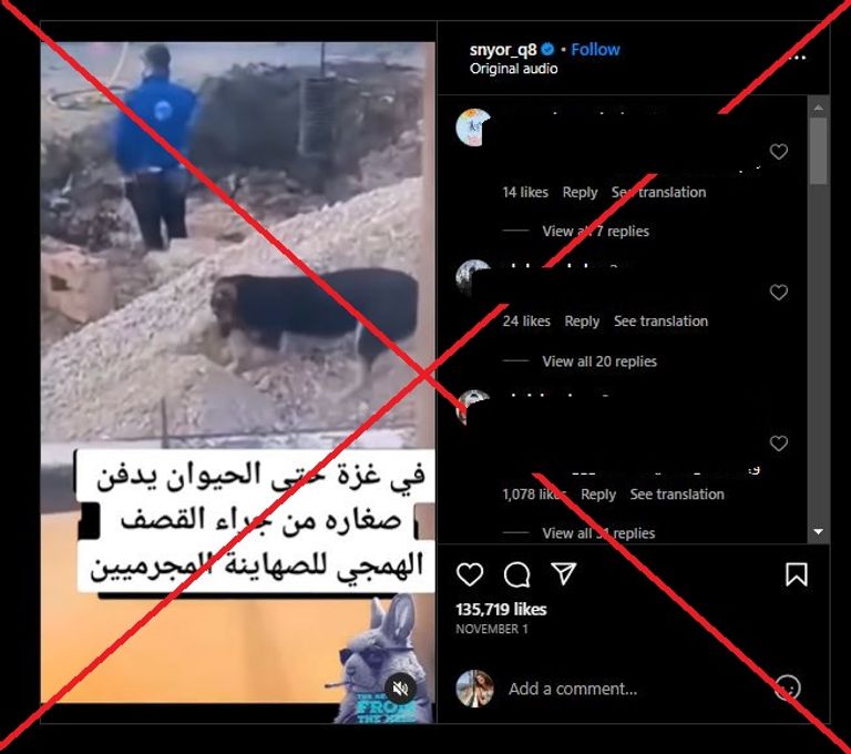 الكلب الذي ظهر في الفيديو