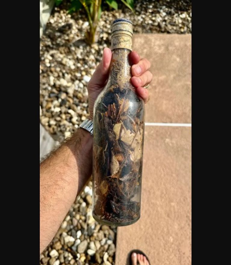 زجاجة ضمن مجموعة عثر عليها على شواطئ الولايات المتحدة