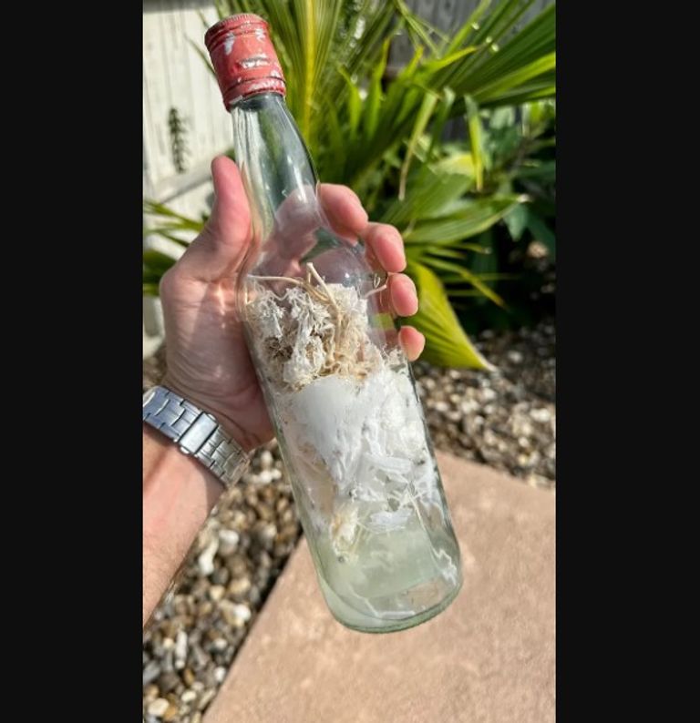 زجاجة ضمن مجموعة عثر عليها على شواطئ الولايات المتحدة