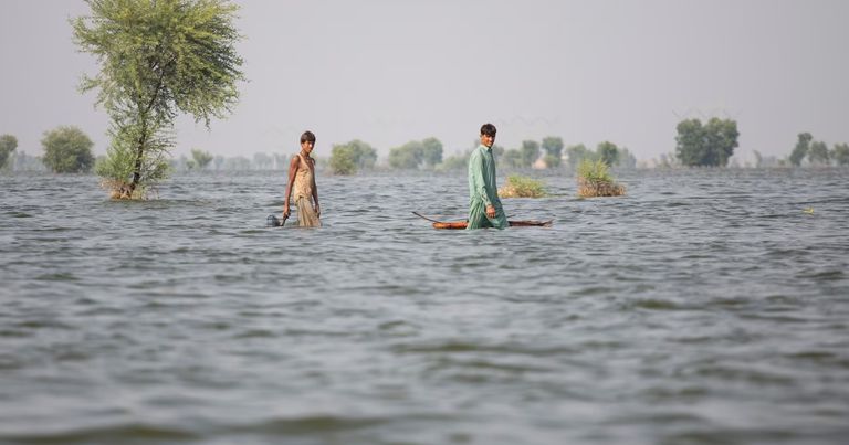 ياسمين لاري