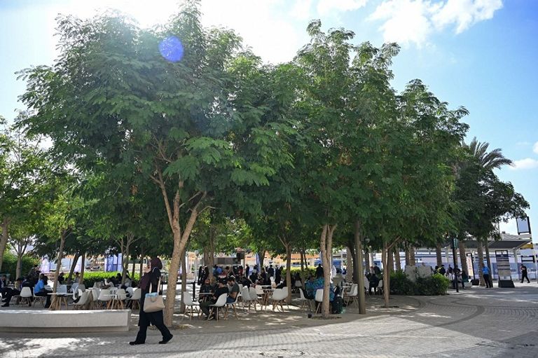 انطلاق فعاليات النسخة الـ28 من مؤتمر الأطراف COP28 يبدأ مهمة إنقاذ الأرض