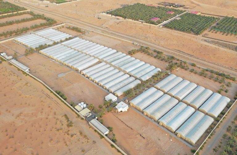 السياحة الزراعية في الإمارات