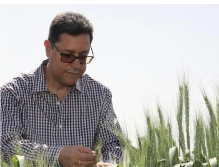 المهندس علي أبوسبع مدير عام الإيكاردا