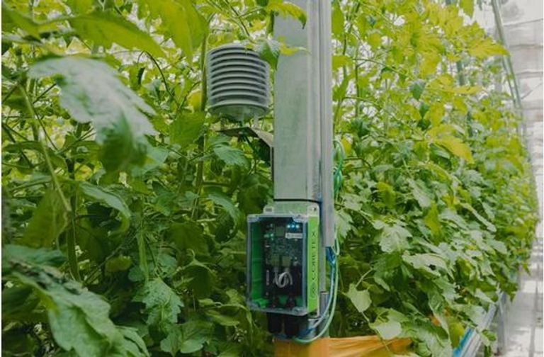 ابتكارات تكنولوجية مثيرة بانتظار زوار المنطقة الخضراء