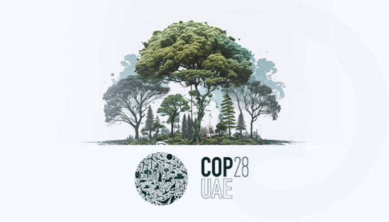 مؤتمر الأطراف COP28