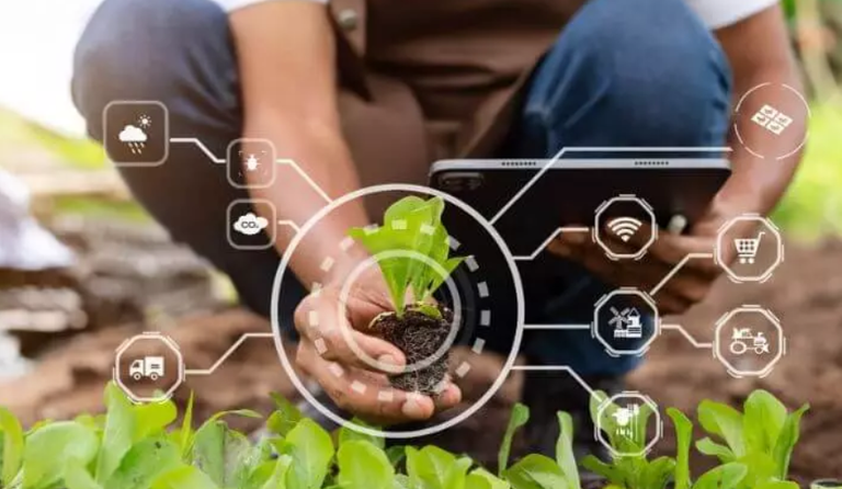 الابتكارات الزراعية تحمي المناخ وتؤمن الغذاء