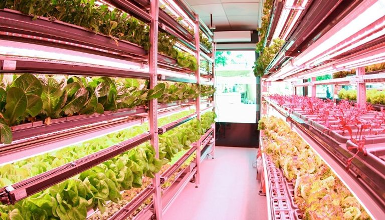 فعاليات اليوم الحادي عشر من COP28 حول الزراعة والمياه والغذاء