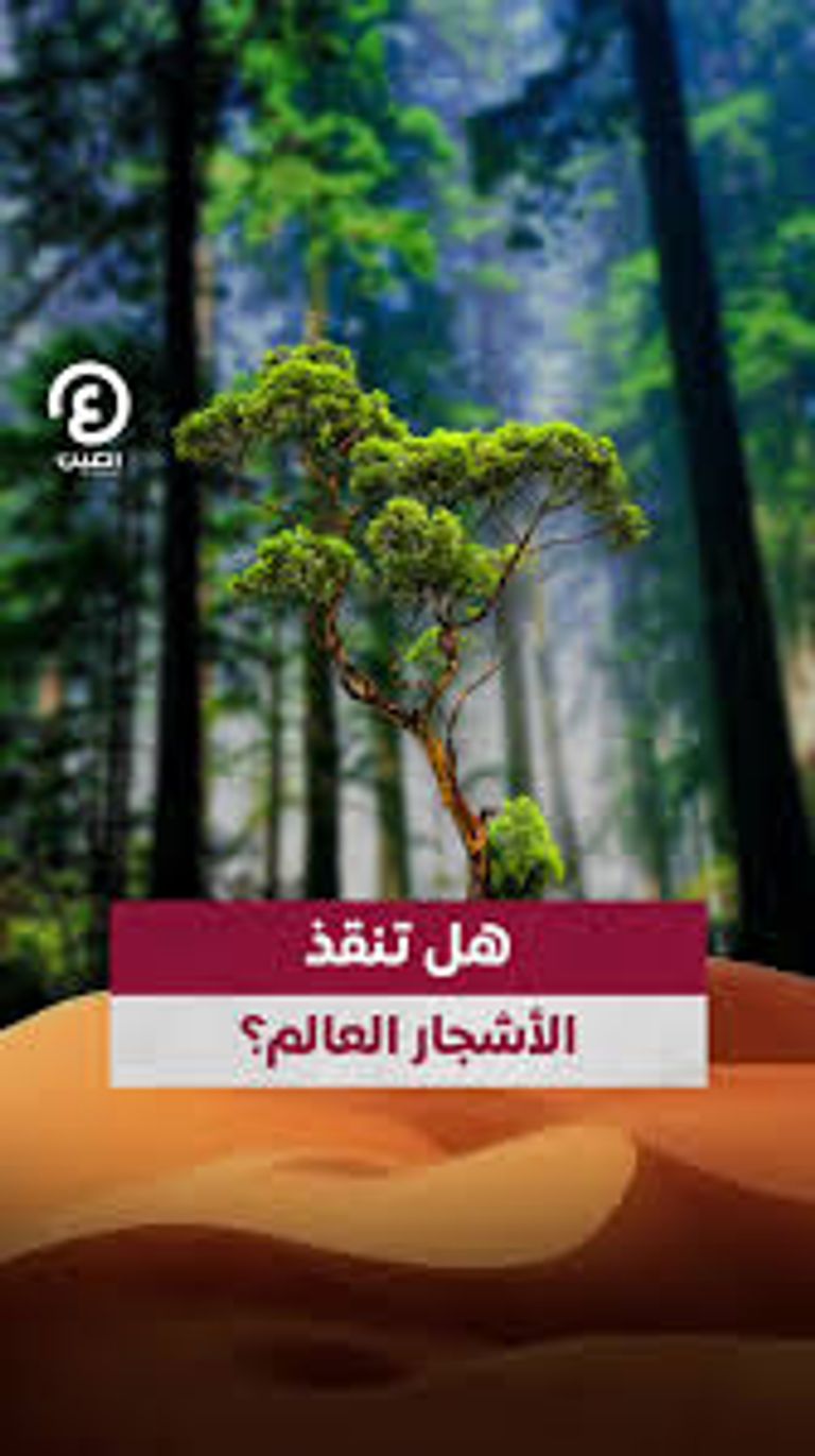 الطبيعة تقدم أسرع الحلول وأكثرها فاعلية في مكافحة تغير المناخ
