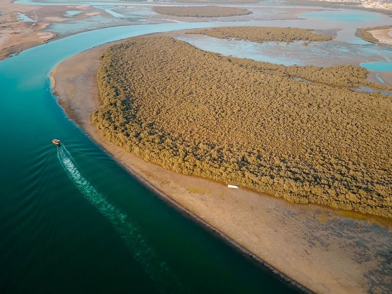 الإمارات سجل حافل في الاستدامة البيئية