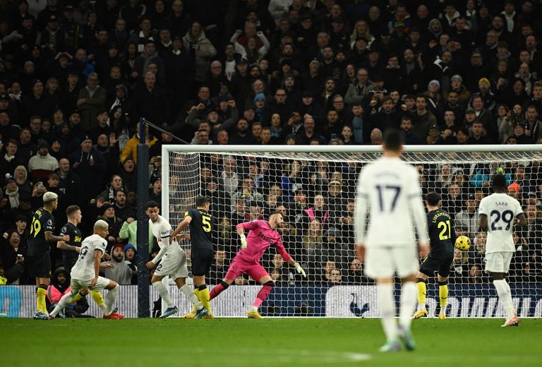 فرحة توتنهام 