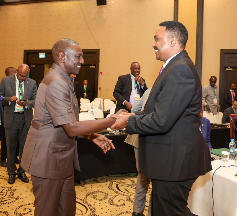 جانب من قمة «إيغاد» في جيبوتي