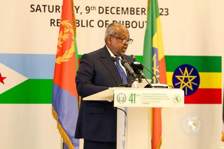 جانب من قمة «إيغاد» في جيبوتي