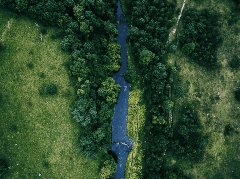 37 بلدا ينضمون إلى تحدي المياه العذبة  جانب من قمة العمل المناخي في COP28