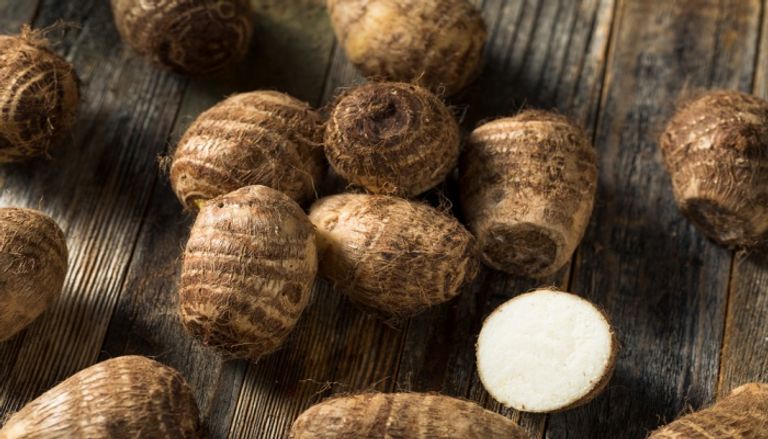 تخزين القلقاس تخزين القلقاس