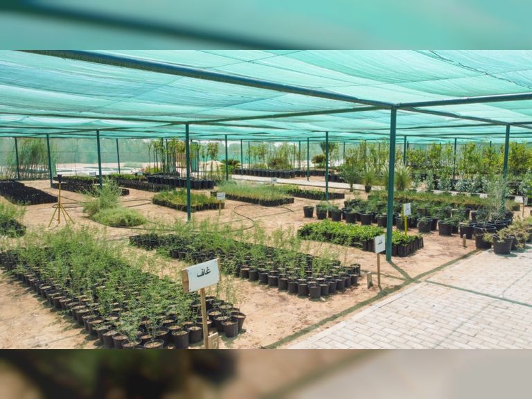 تعزيز مشاركة مختلف فئات المجتمع في تحسين البيئة والحفاظ على التنوع البيولوجي