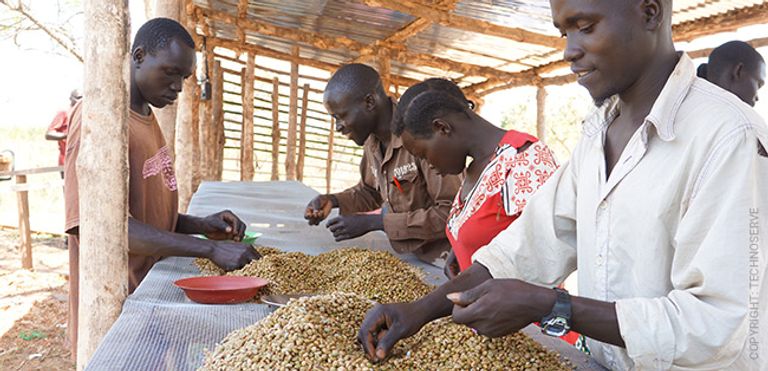 صغار مزارعي البن في أفريقيا يواجهون أزمة مع القانون الأوروبي مزارع البن الصغيرة في أفريقيا تواجه أزمة مع القانون الأوروبي