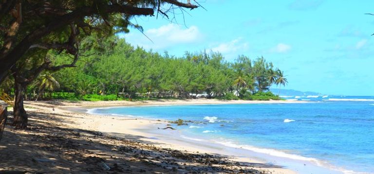 شاطئ باث أحد أفضل أماكن السياحة في باربادوس أماكن السياحة في باربادوس